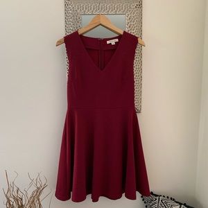 Burgundy Skater Dress with Floral Embroidery